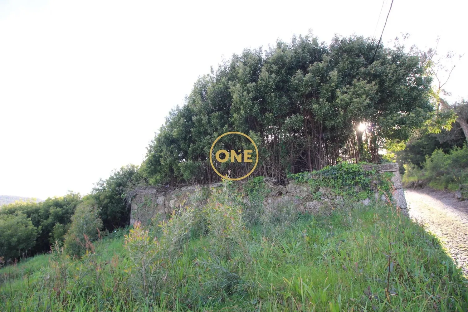 Building land with an area of ​​13530m2 in Ruílhe for sale