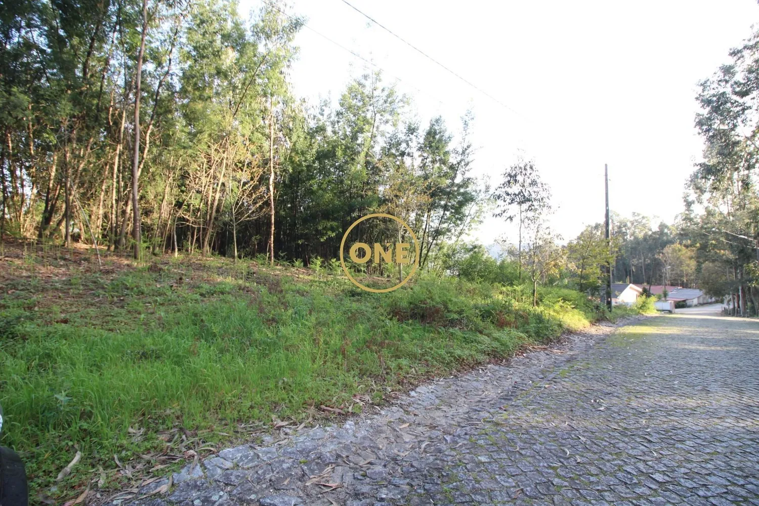 Terrain constructible d'une superficie de 13530m2 à Ruílhe à vendre - 2