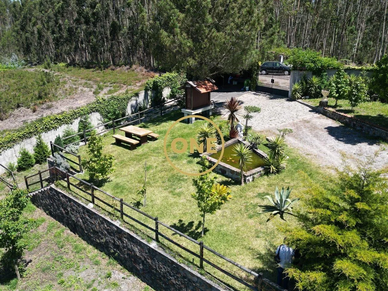 Terreno Florestal em Ribeirão com Moradia Edificada - 3