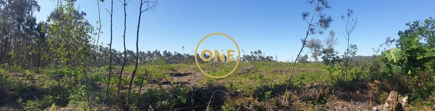 Rustic Land for Sale in Silveiros, Barcelos