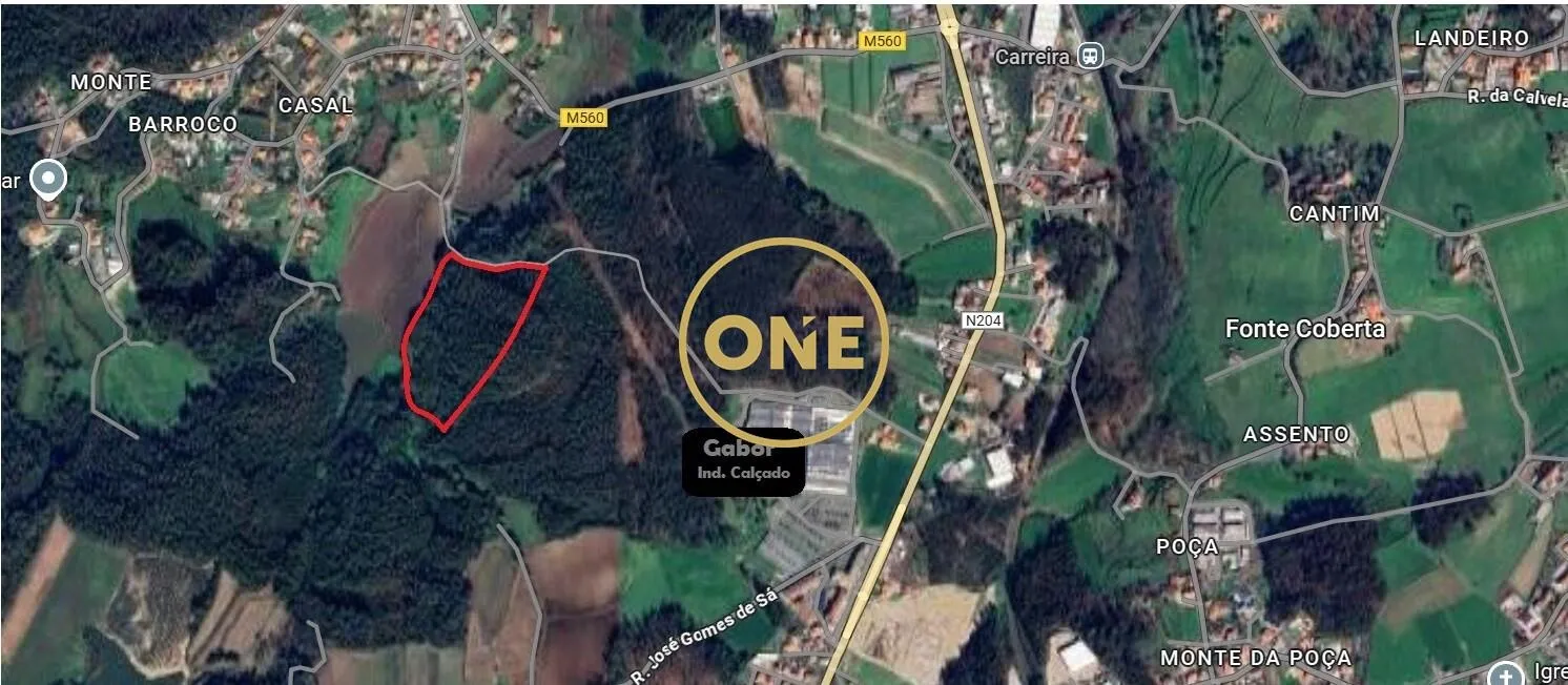 Rustic Land for Sale in Silveiros, Barcelos - 2