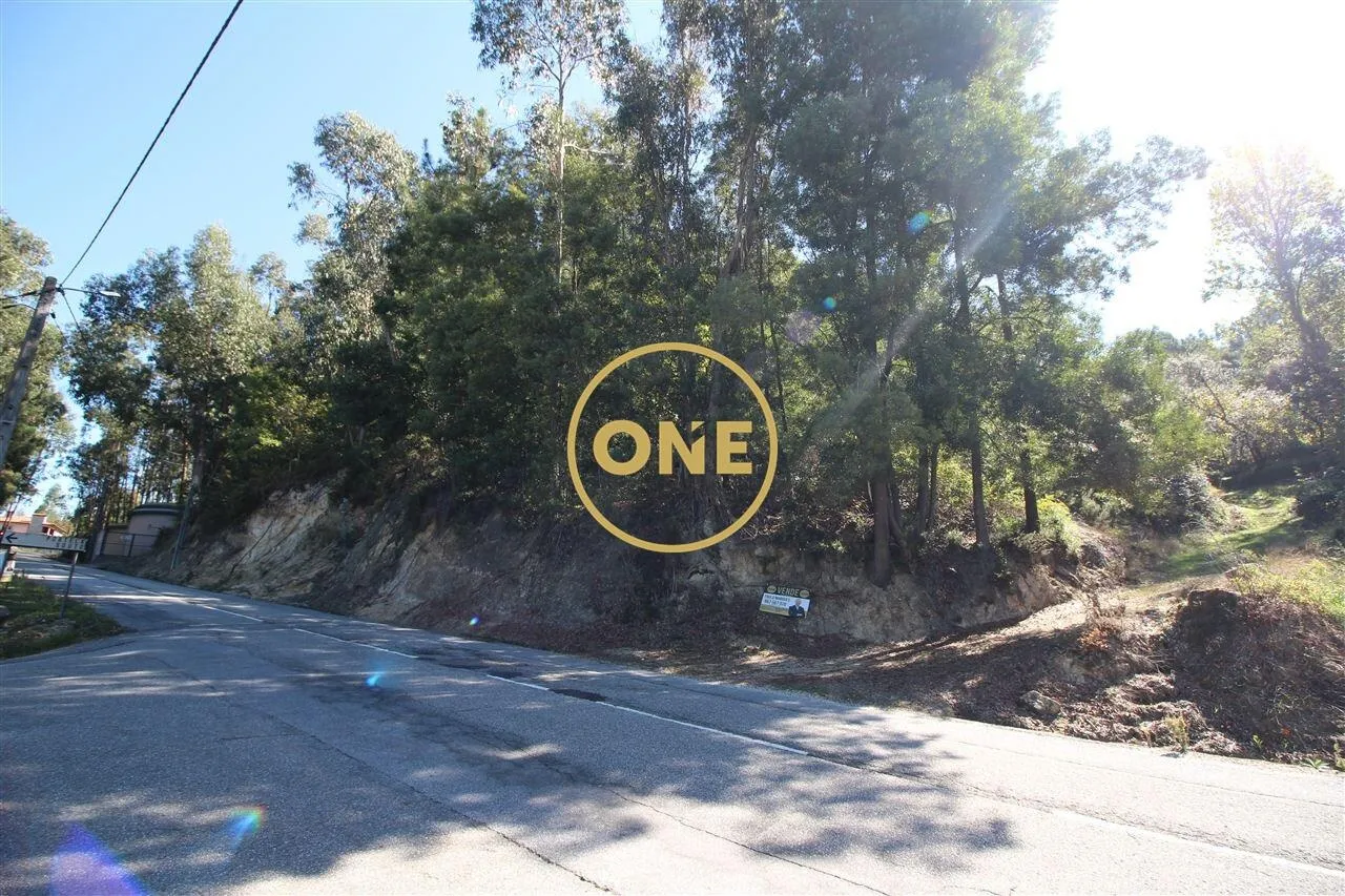 Land/Bouça with 8426m2 in Armil/Fafe for sale - 3