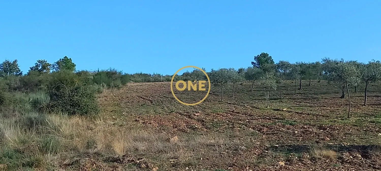 Urban land with construction authorization. It has a mine. - 2