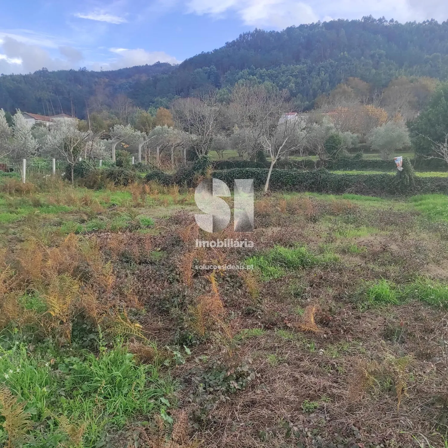 Terreno em Lousã