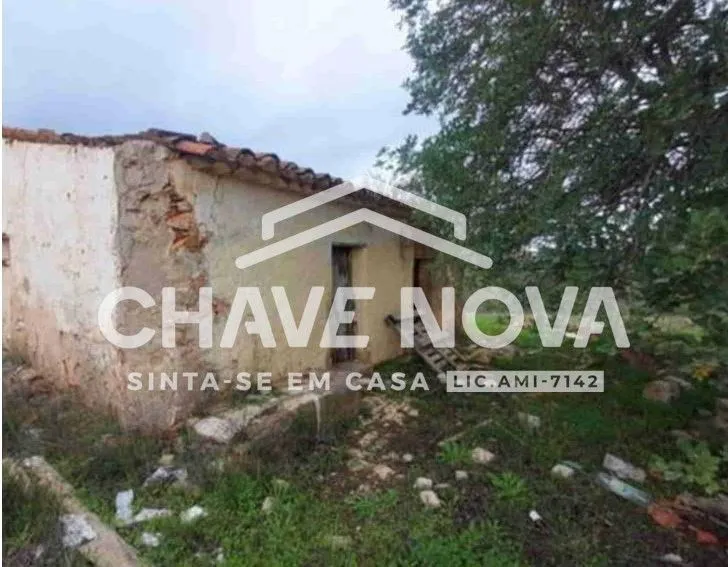 Lotes com ruina 