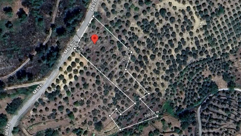 Terreno com 160 oliveiras - Vila Flor - 3