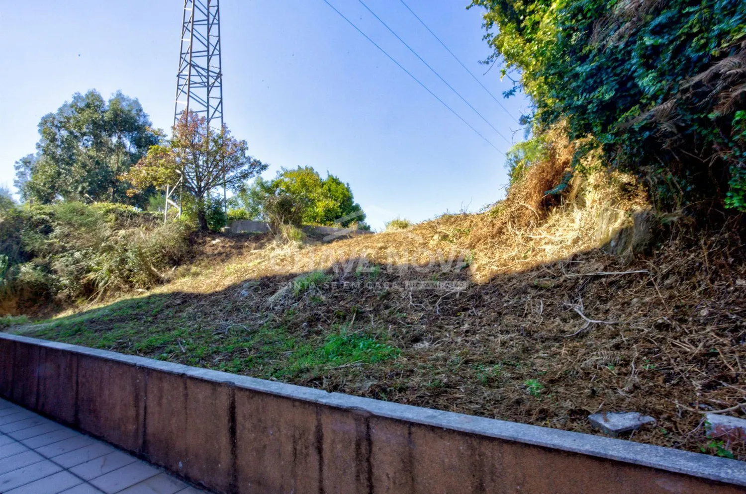 Terreno Urbano c/ 816m² na Madalena - 3