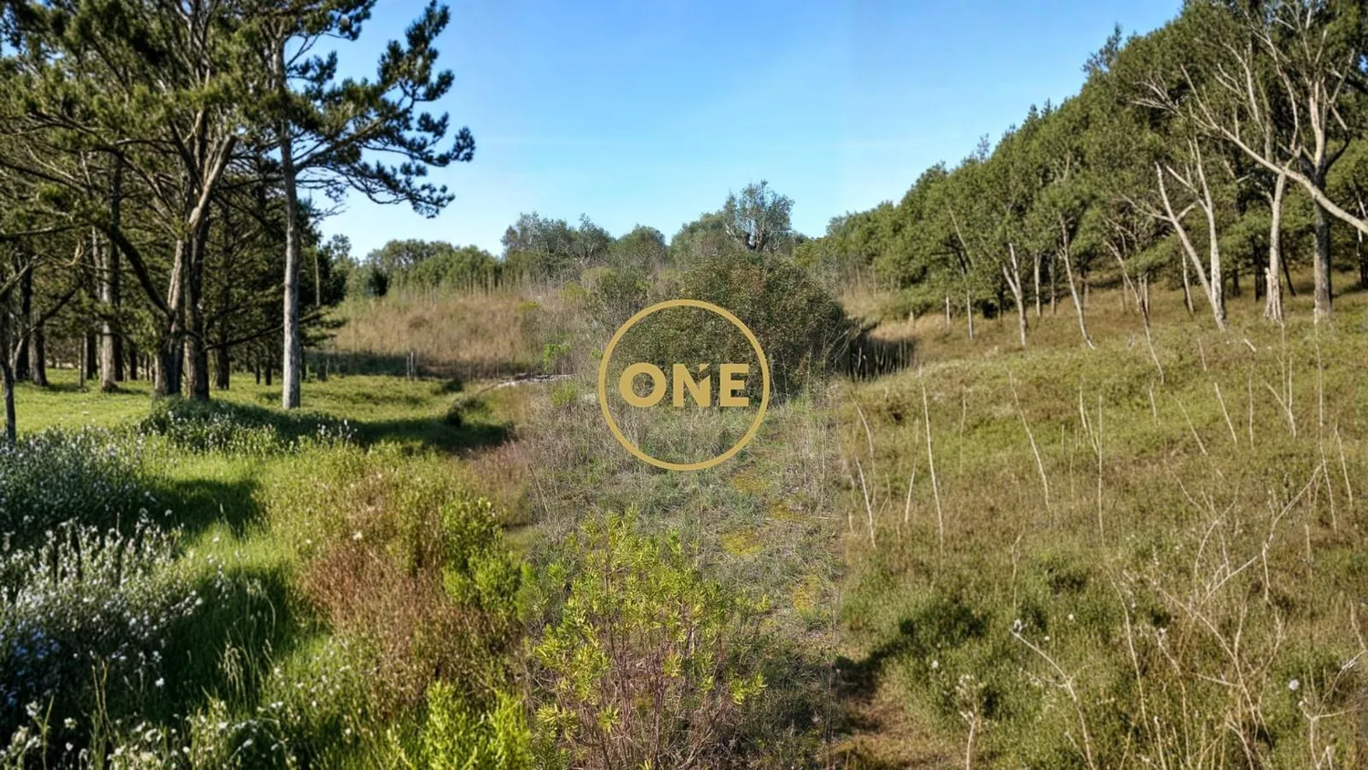 Terreno Rústico | 7440m2 | Lamarosa - 2