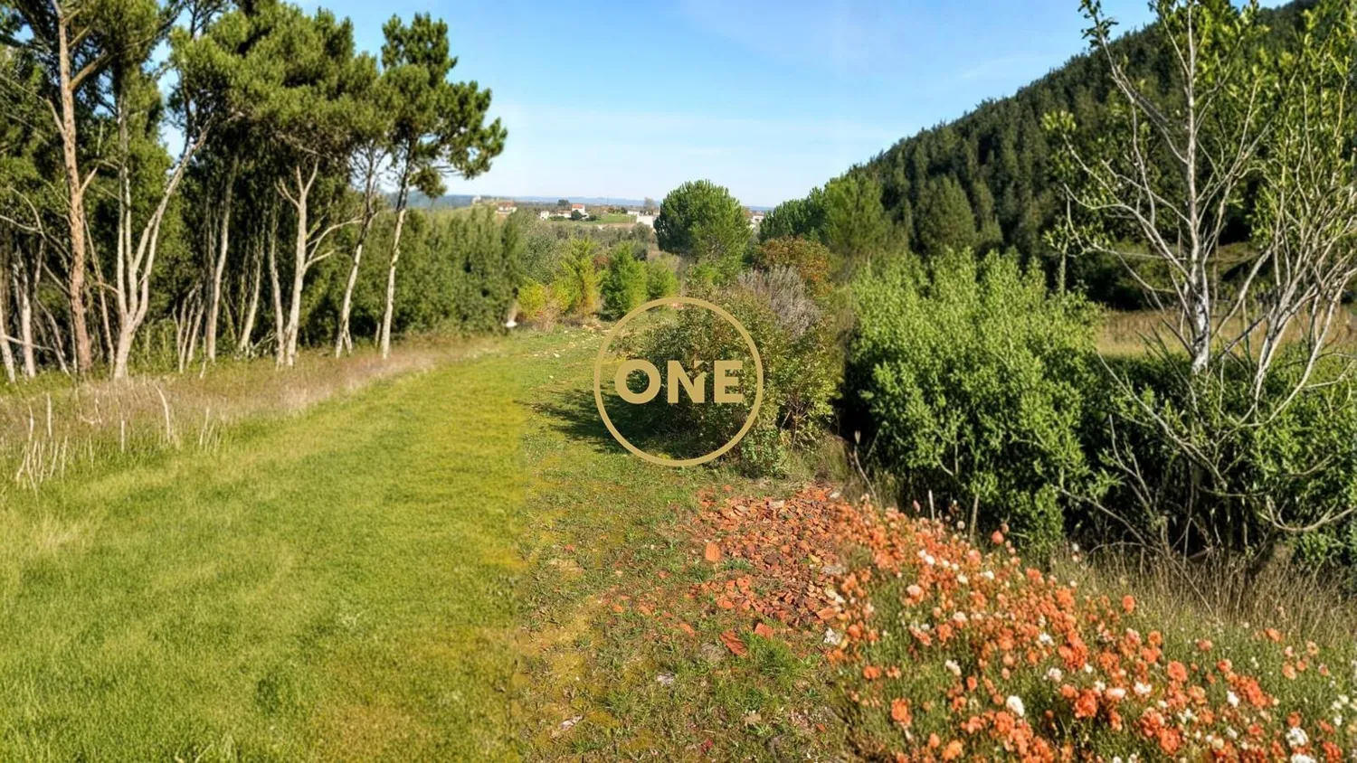 Terreno Rústico | 7440m2 | Lamarosa - 3