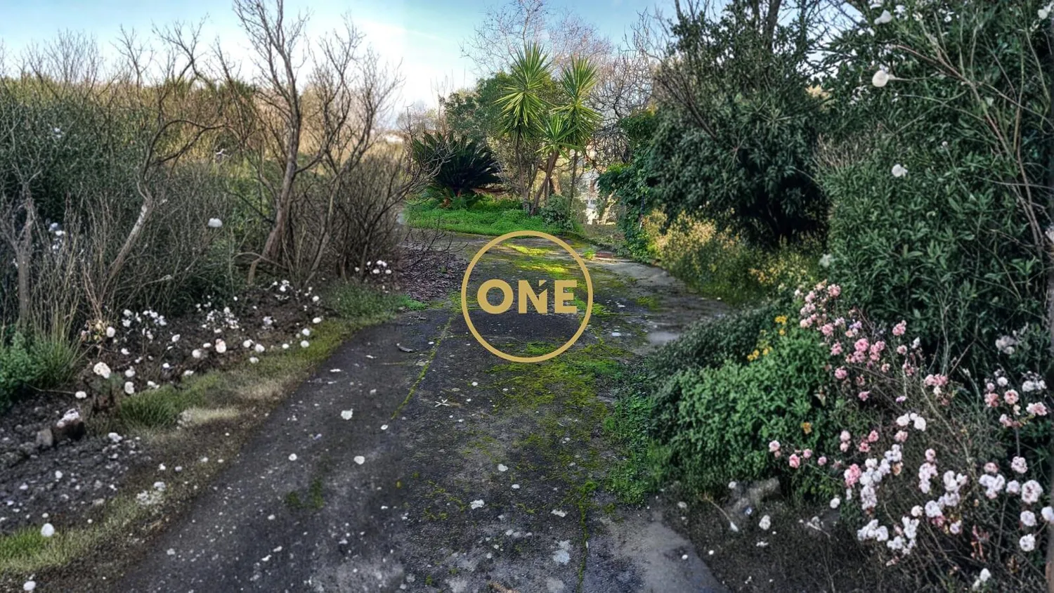 Quinta para recuperar | 5120m2 | Valhelhas, Torres Novas - 2