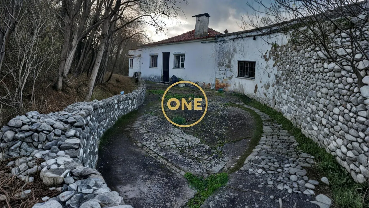 Quinta para recuperar | 5120m2 | Valhelhas, Torres Novas - 3