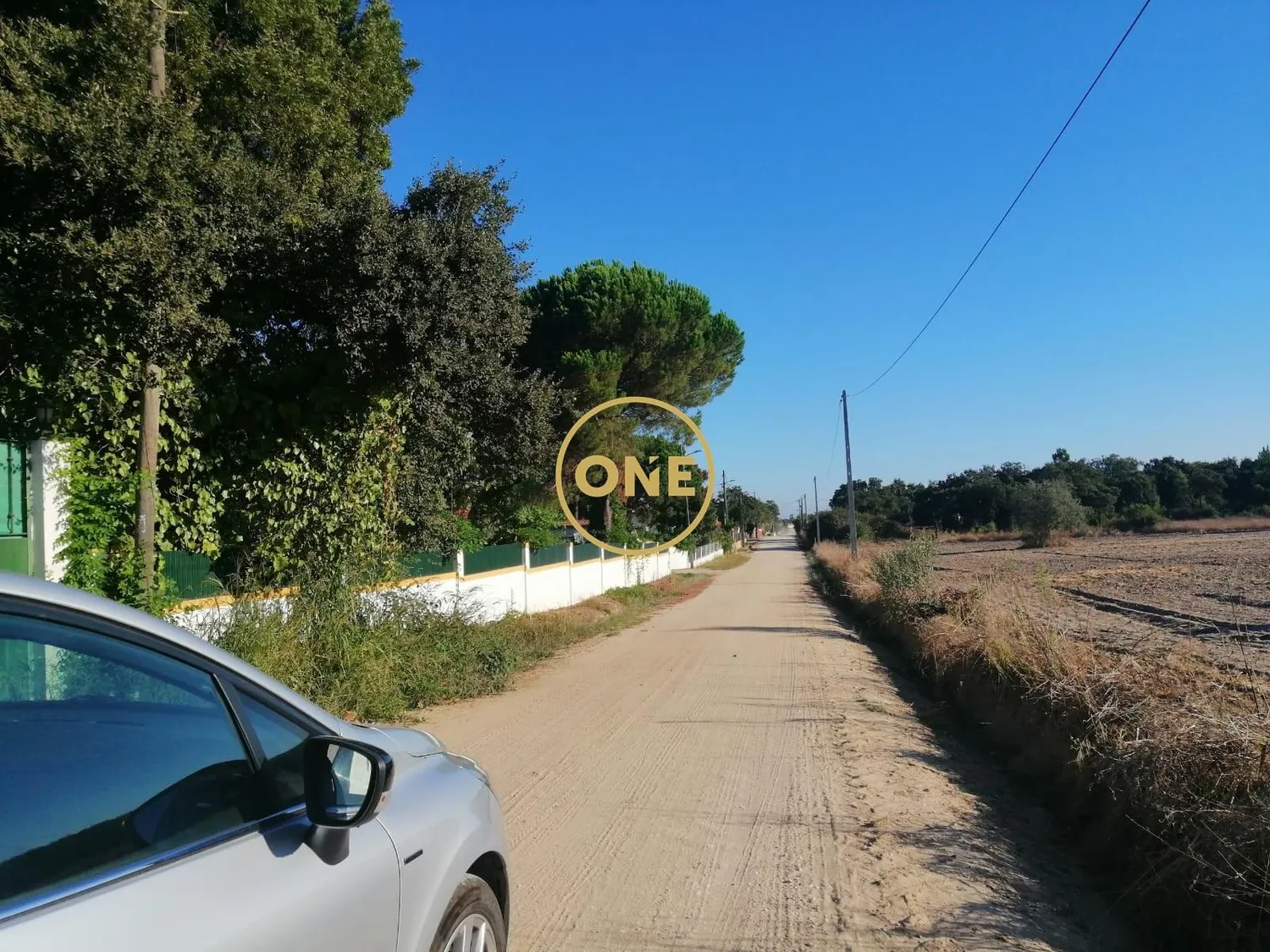 Excelente Terreno nos Foros de Salvaterra - 3
