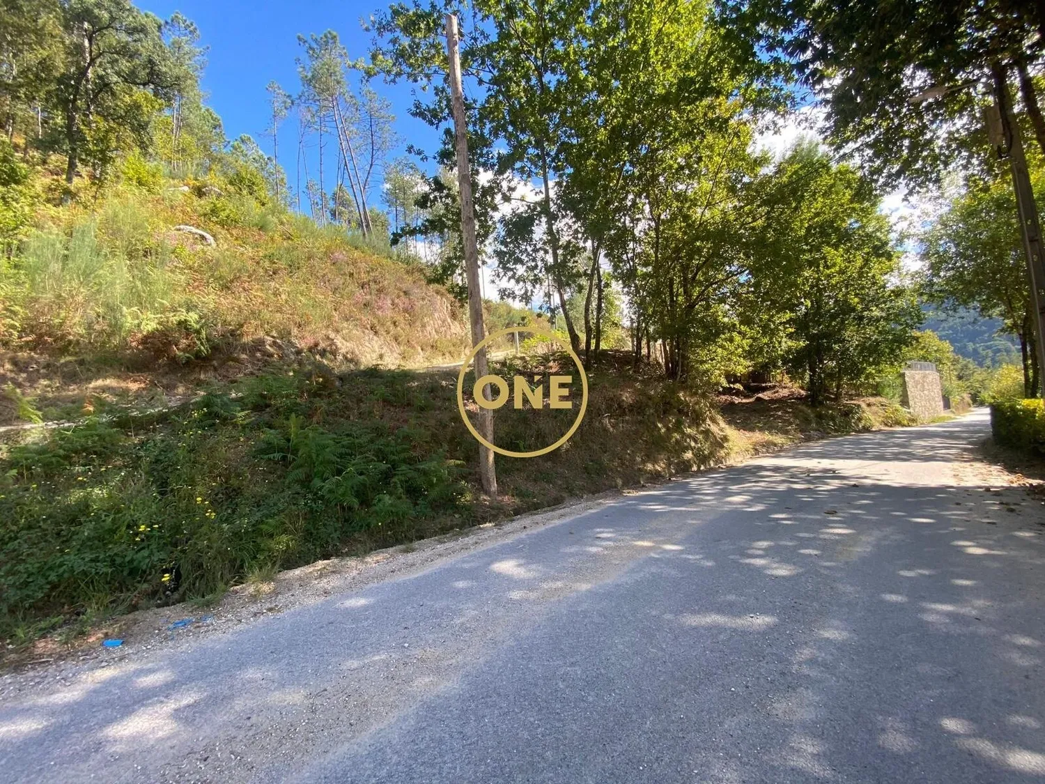 Two plots of land for sale in Valdosende