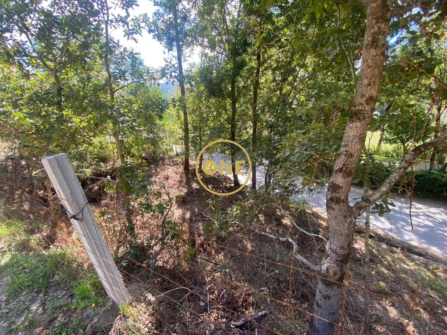 Two plots of land for sale in Valdosende - 2