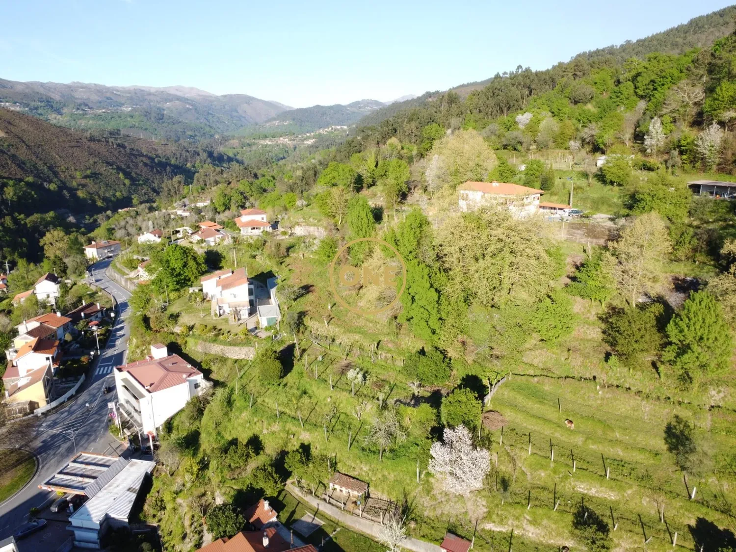 Excellent urban plot of land measuring 1 hectare – Center of Terras de Bouro - 3