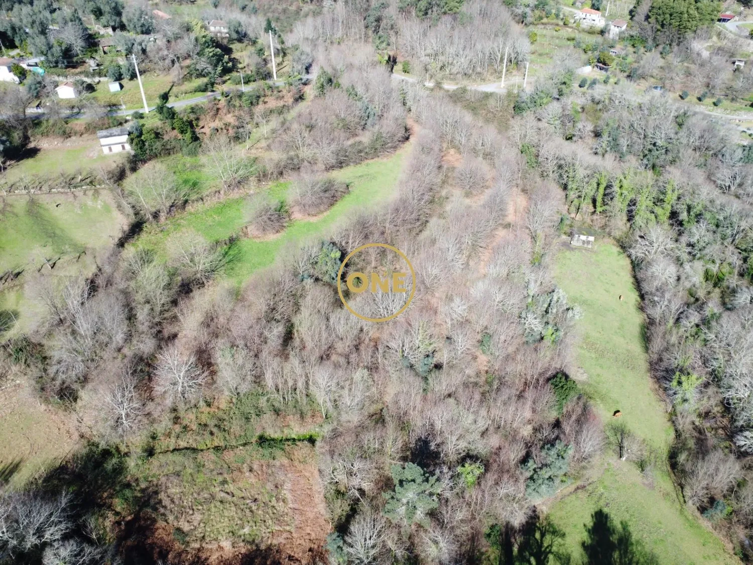 Forest plot of 8000m² in Valdreu – Excellent opportunity