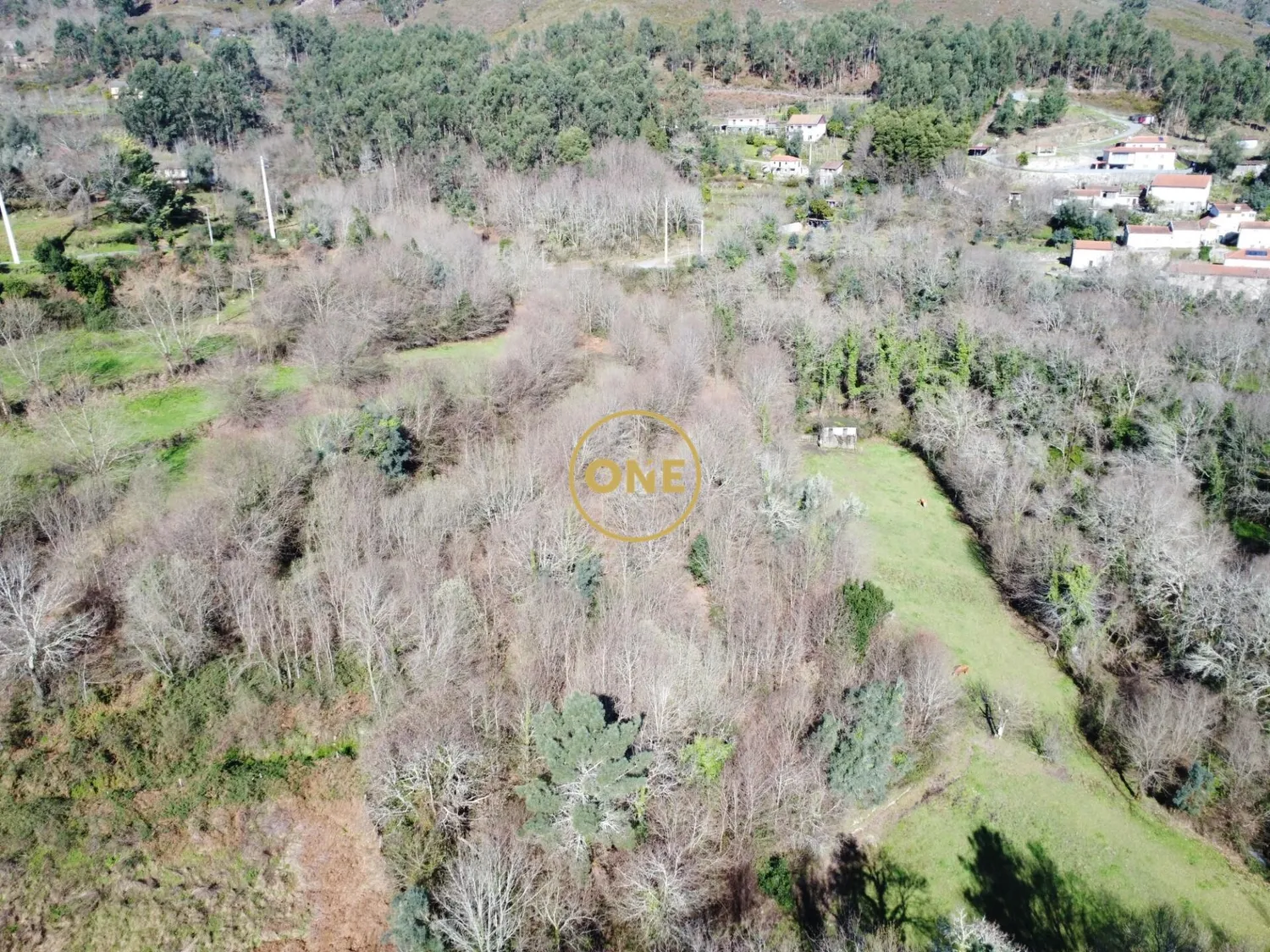 Forest plot of 8000m² in Valdreu – Excellent opportunity - 2