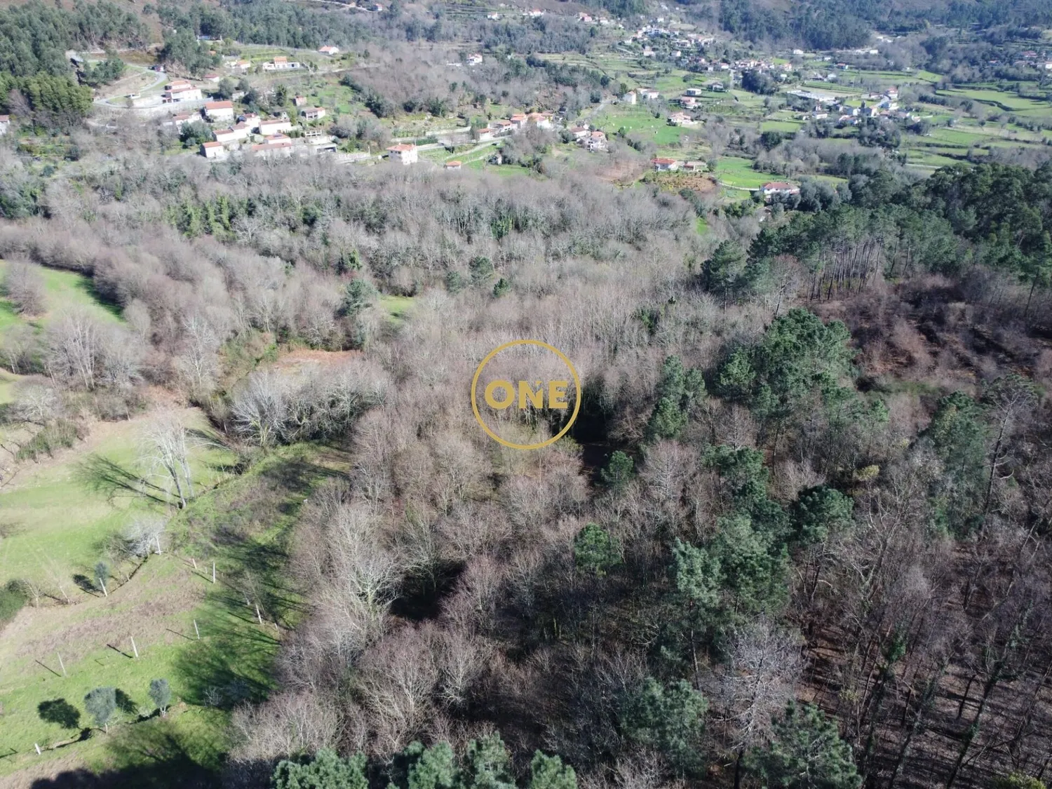 Forest plot of 8000m² in Valdreu – Excellent opportunity - 3
