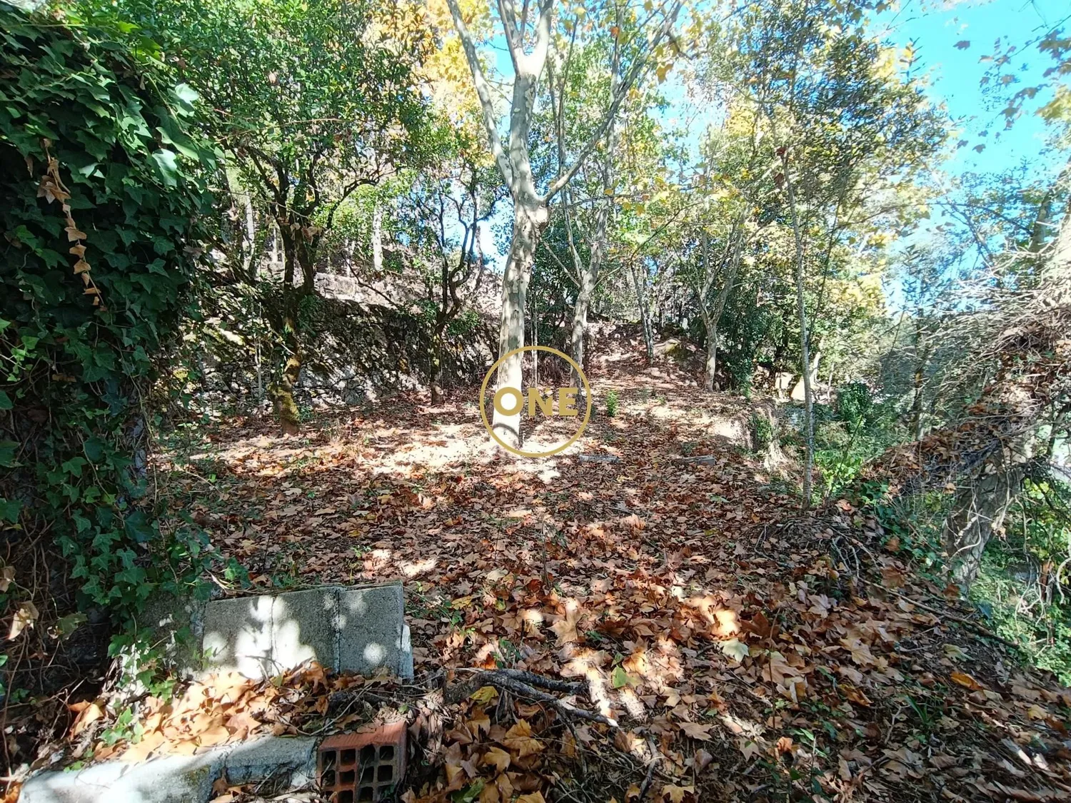 Land with approved project in Valdozende - Terras de Bouro - 3