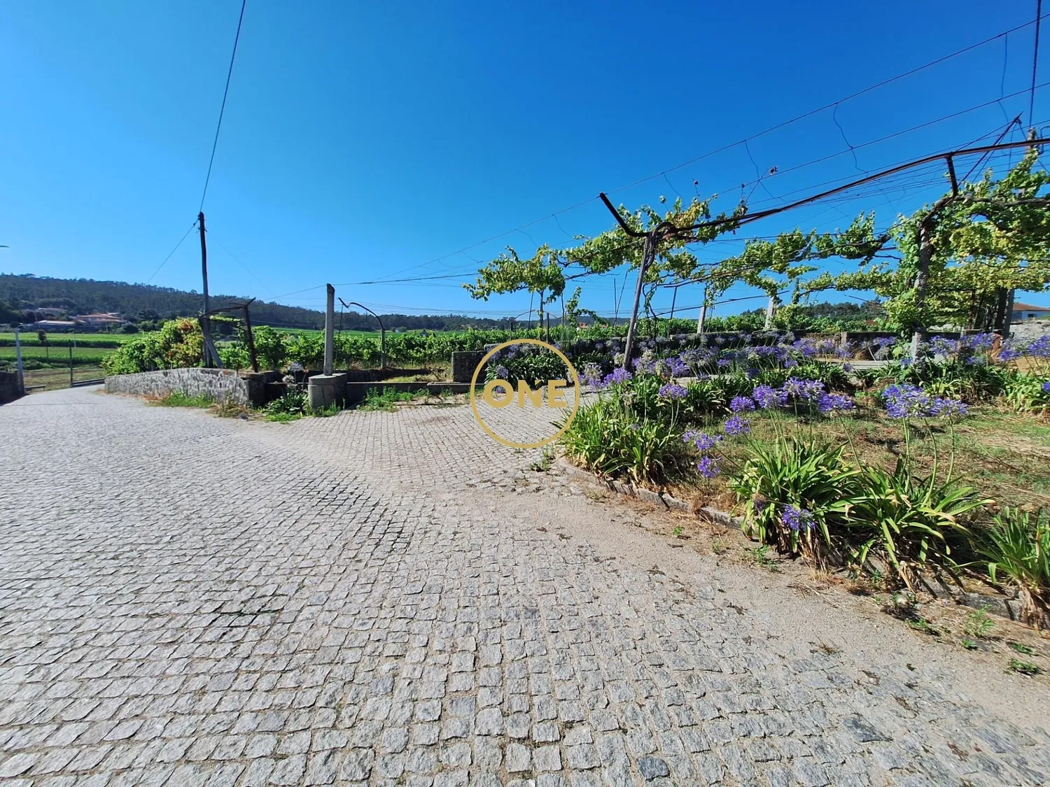 Terreno de 2,5 hectares com produção agrícola