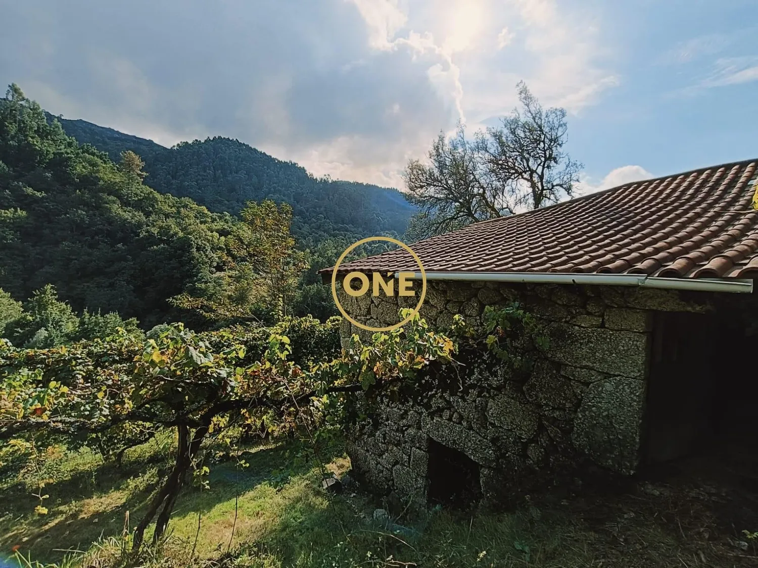 Land with Approx: 10,000m2