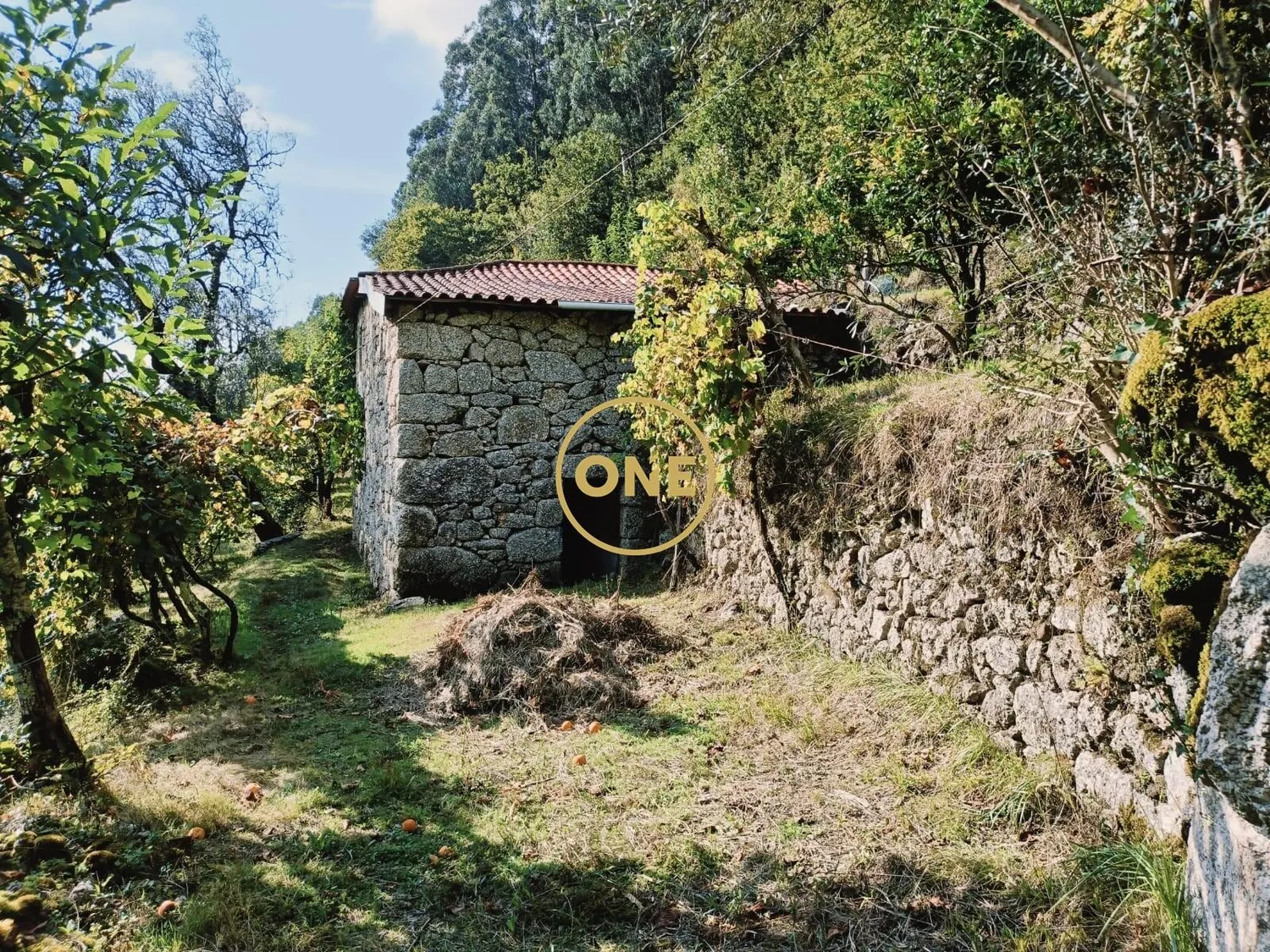 Land with Approx: 10,000m2 - 2