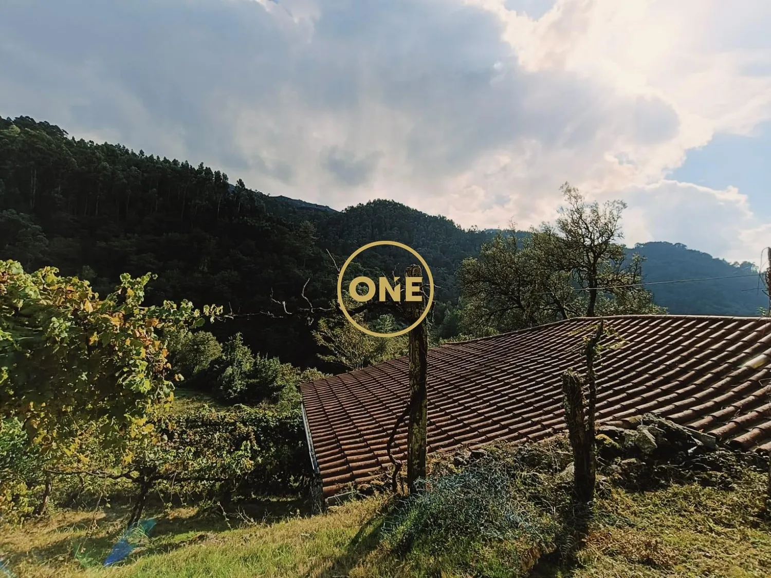 Land with Approx: 10,000m2 - 3