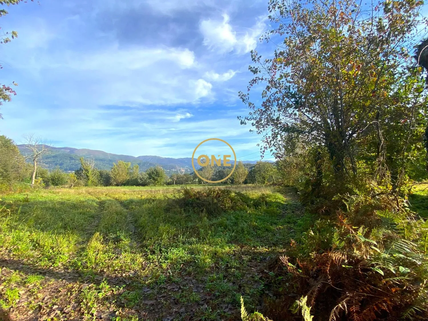Terrain à vendre à Souto