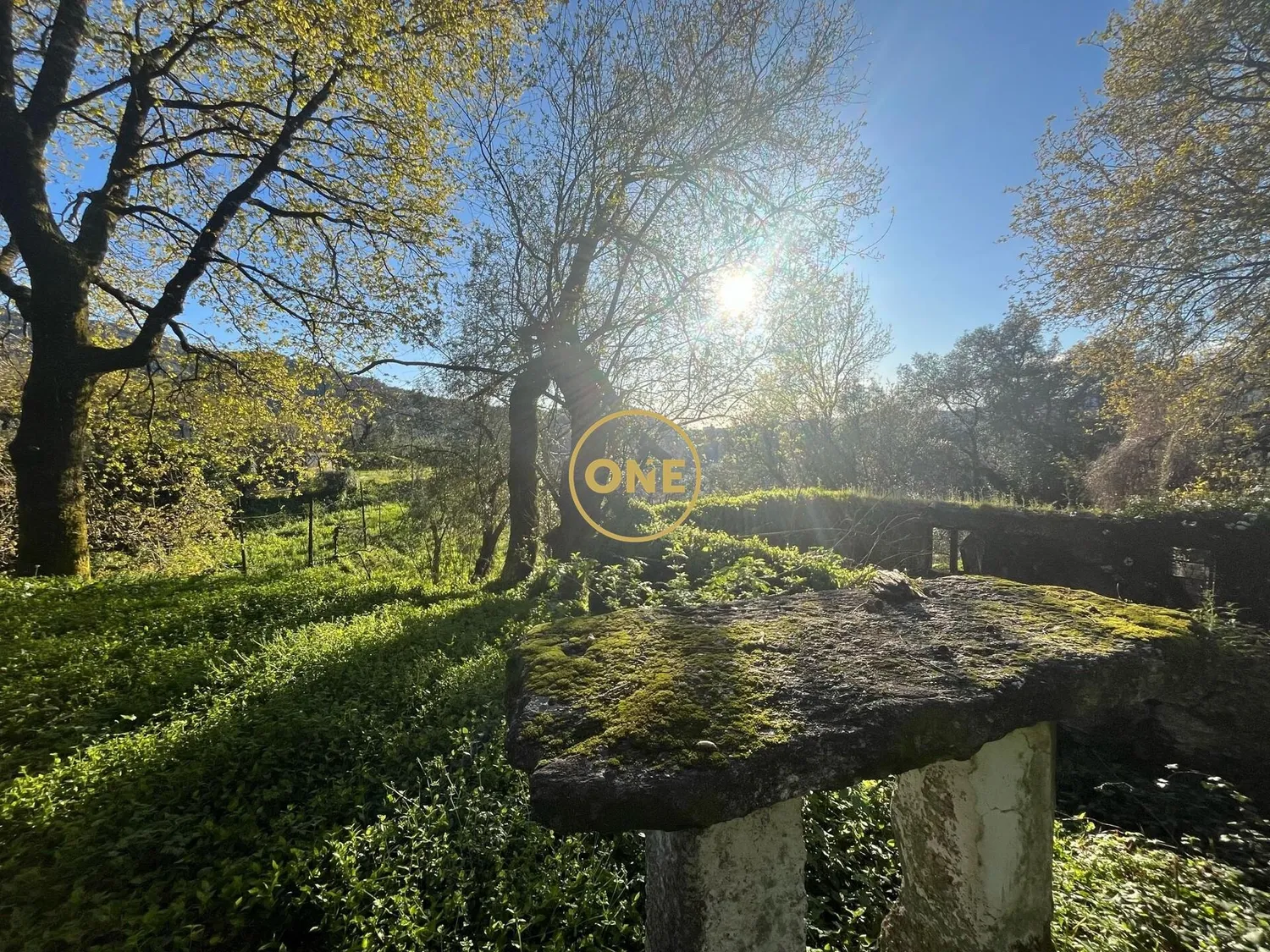 Ruine à rénover à Terras de Bouro, Chourense – 1 311 m² de terrain - 2