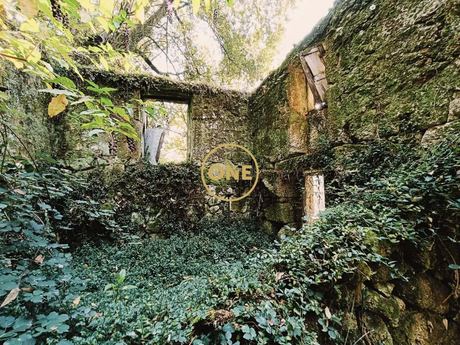 Ruine à rénover à Terras de Bouro, Chourense – 1 311 m² de terrain - 3