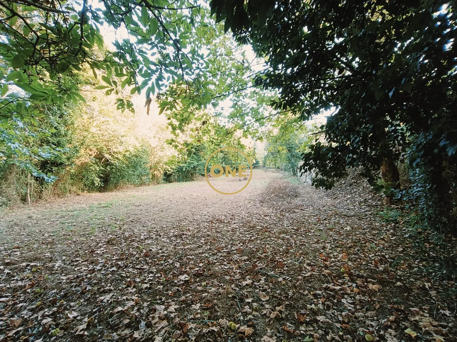 VENTE TERRAIN SOUTO - 3