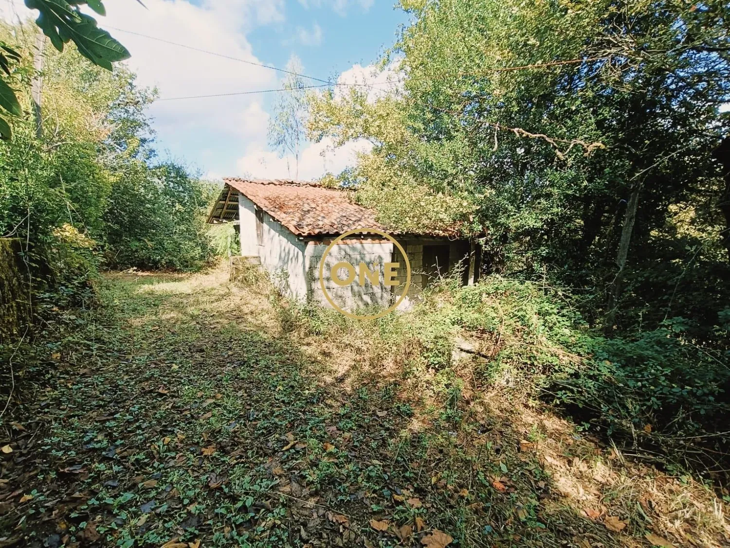 Terrain à vendre à Souto