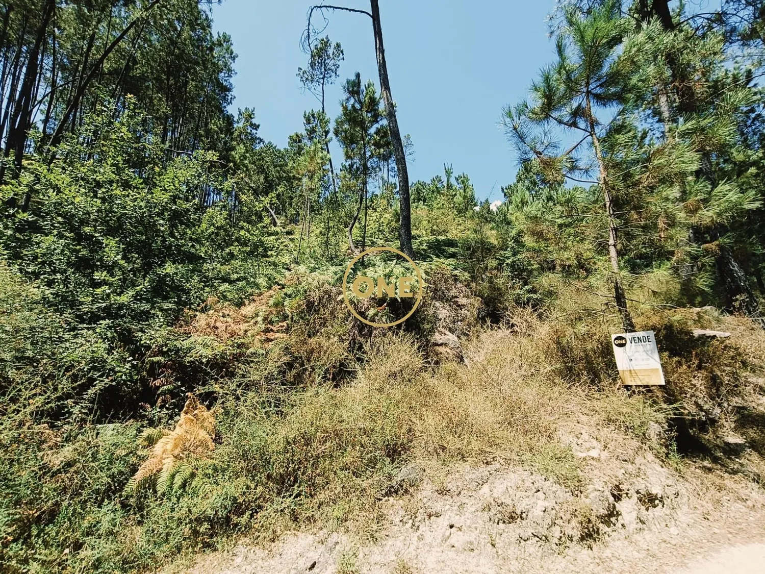 Terreno no Gerês para Venda