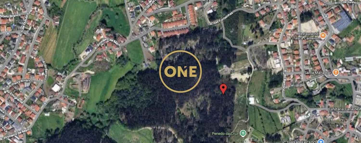 Eucalyptus Land with 6000m² – Guardizela, Guimarães