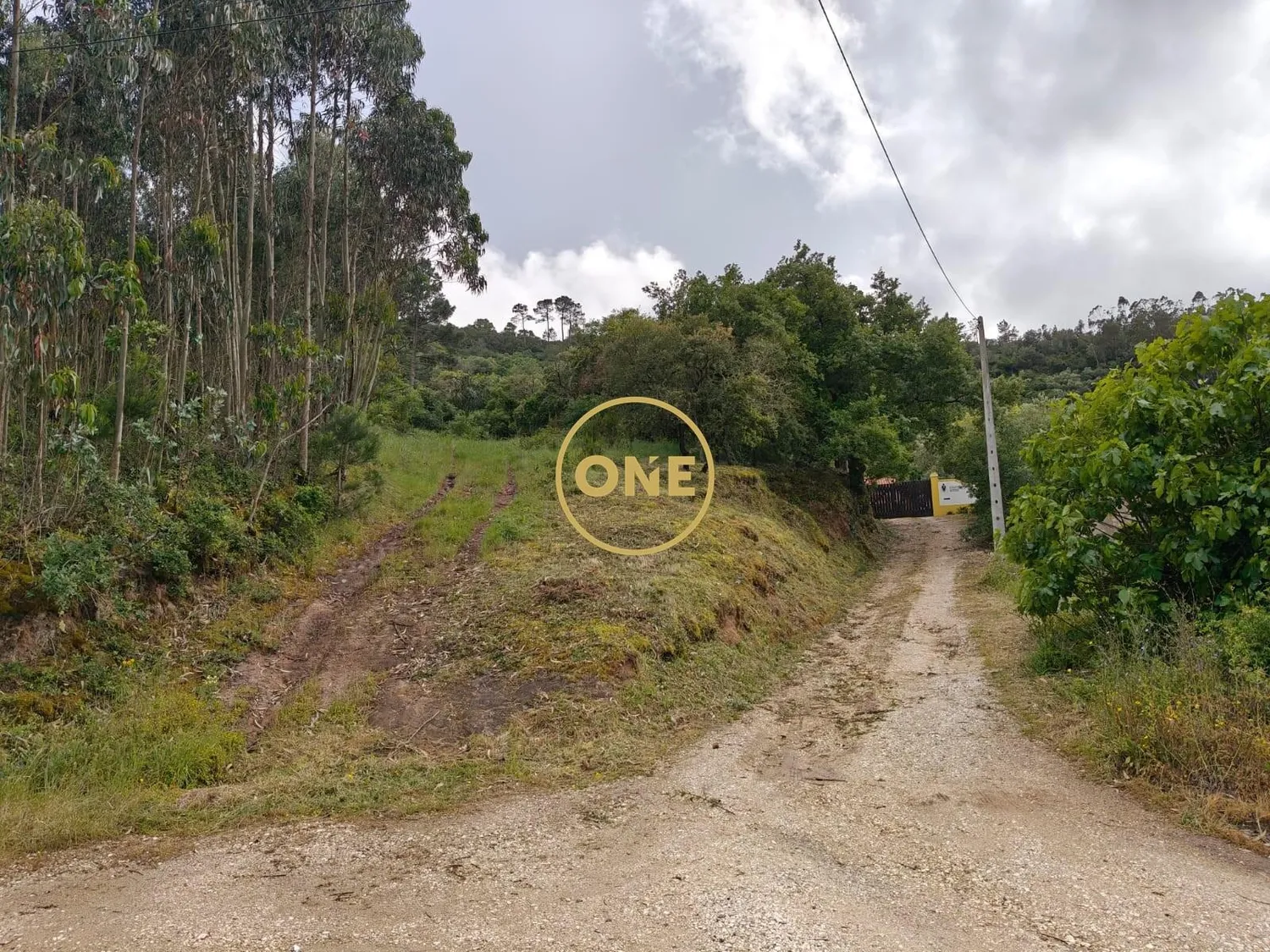 Terreno Rústico Florestal, no Gradil, concelho de Mafra
