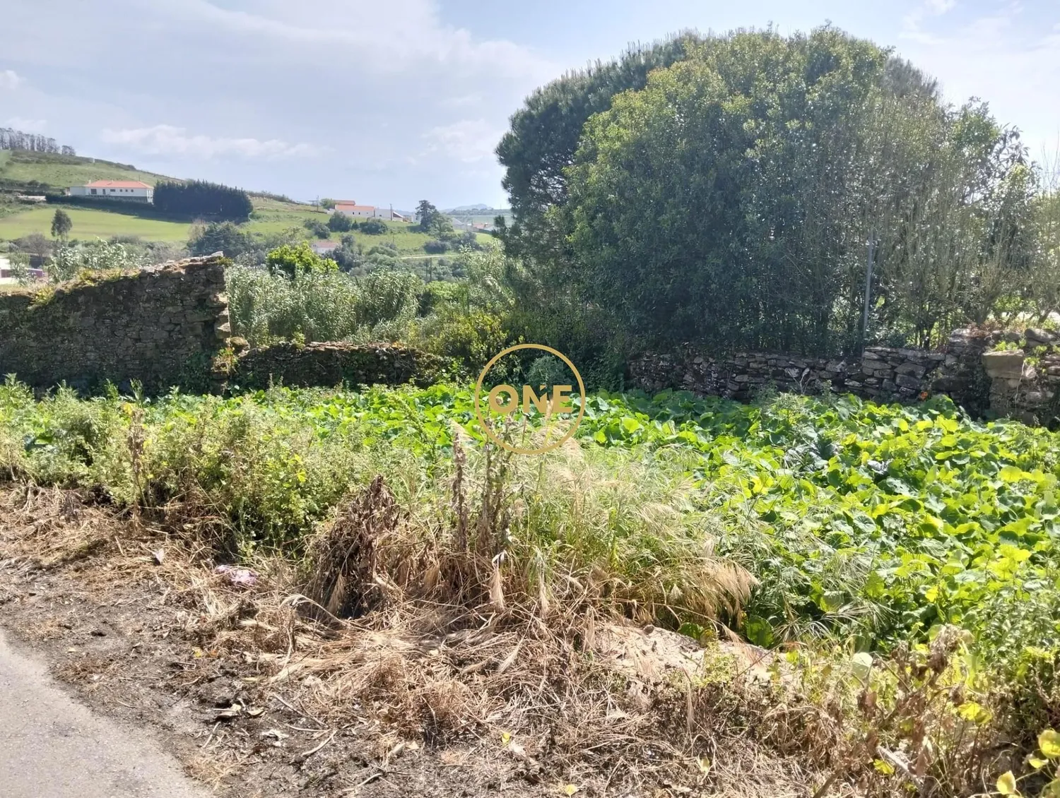 Lote Urbano na Sapataria, Sobral Monte Agraço
