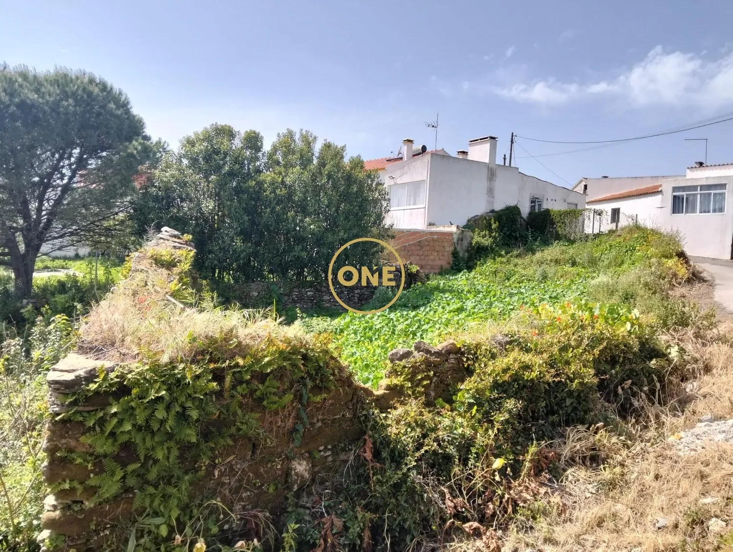 Lote Urbano na Sapataria, Sobral Monte Agraço - 2