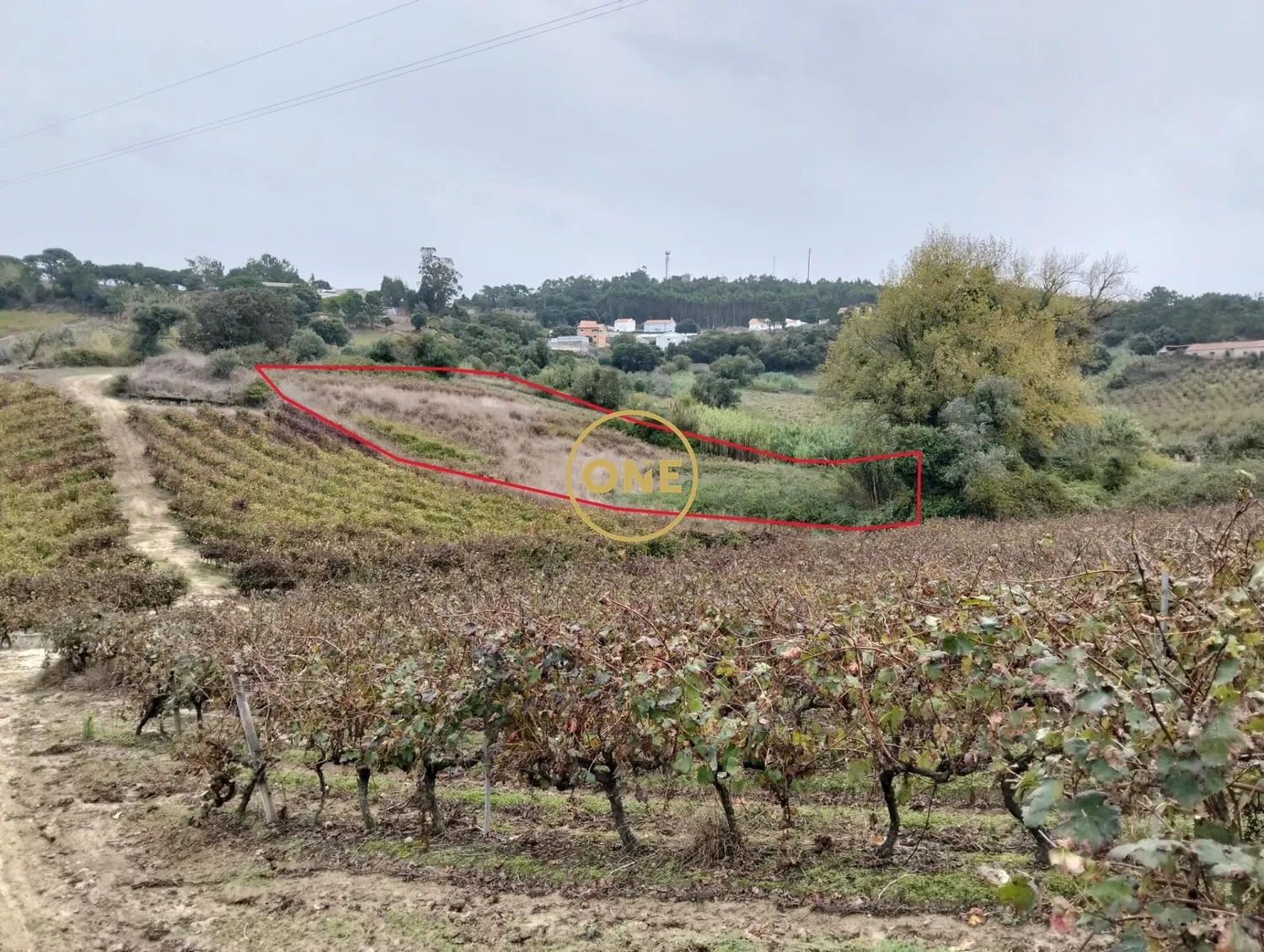 Rustic land with 3312 m2 - Sobral da Abelheira e Azueira - 2