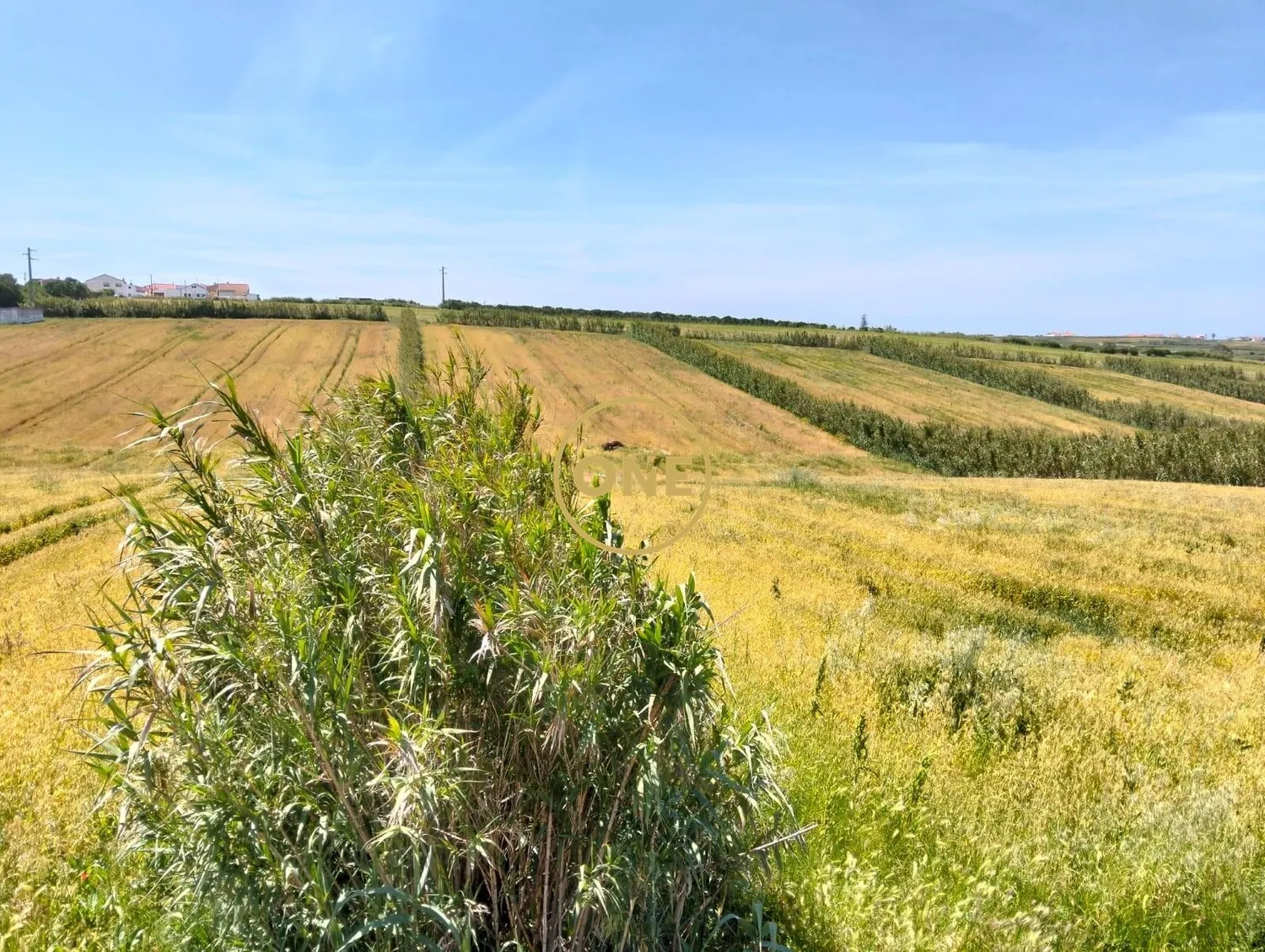 Land with PIP Approved – Casal da Barreira, Torres Vedras - 3