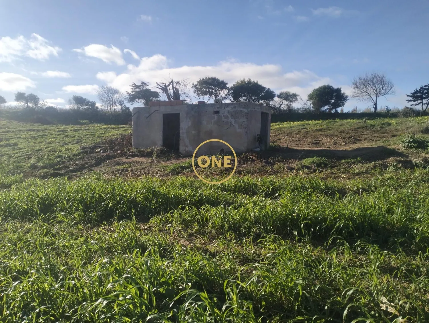 Rustic land with 18,374 m² in Casal das Marreiras, Encarnação - 3