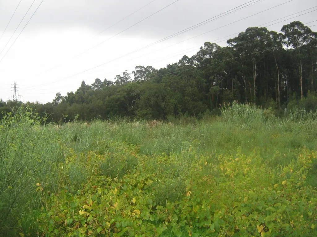 Terreno para arrendamento - Ao Castêlo da Maia
