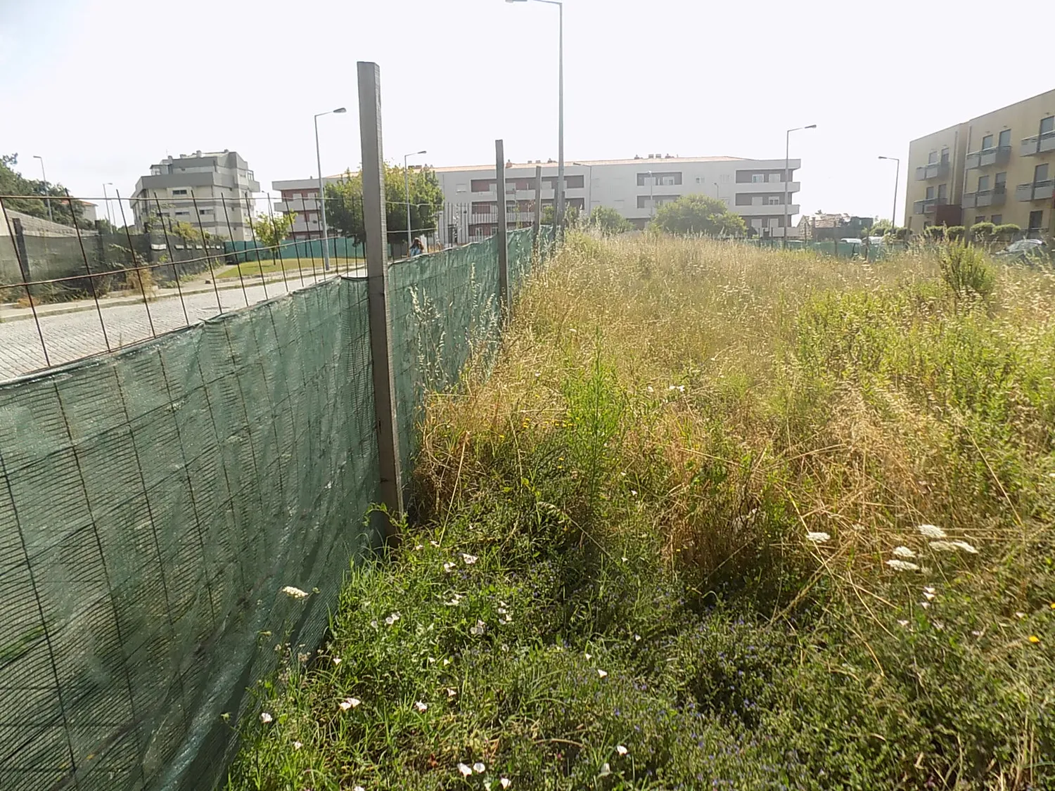 Terreno para construção em altura - Porto - 3