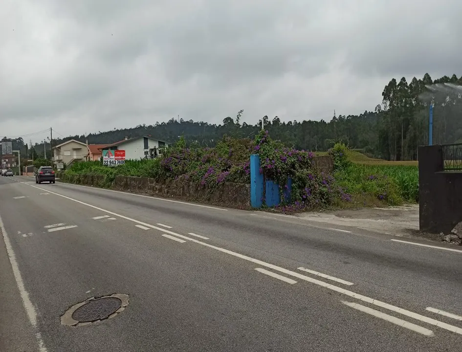 Terreno - À Carriça - Arrendamento - 2
