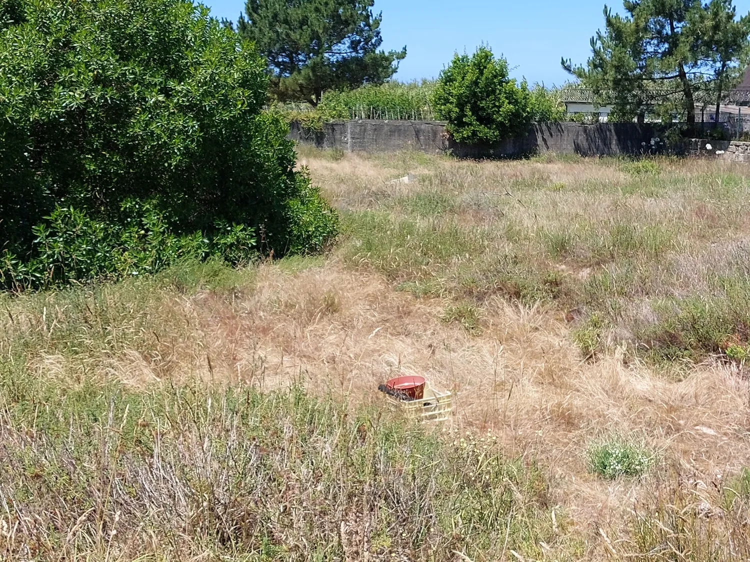 Terreno p/ construção de moradias (a 5 minutos da praia)