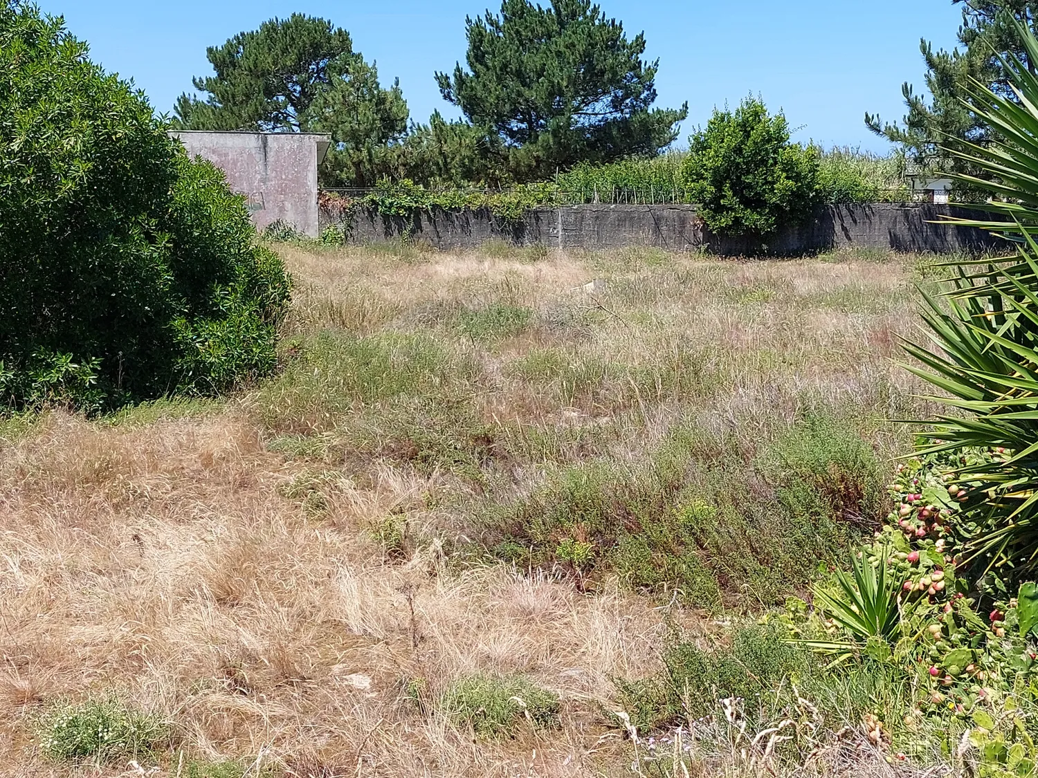 Terreno p/ construção de moradias (a 5 minutos da praia) - 2