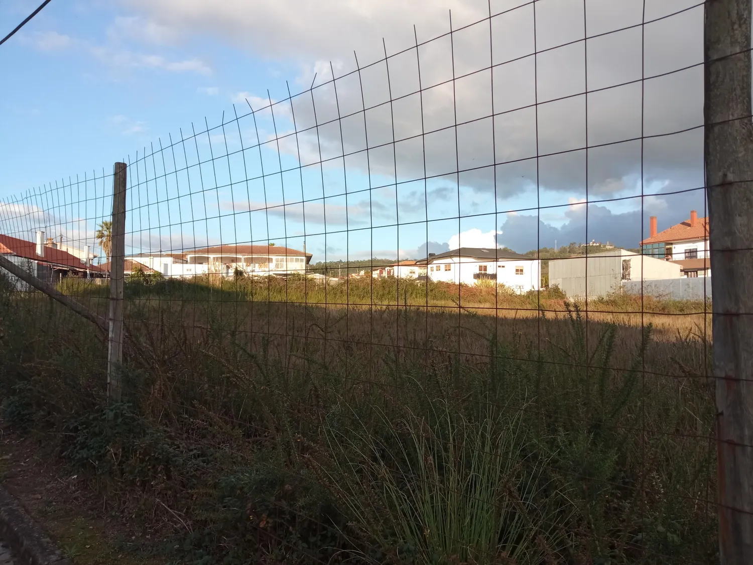 Terreno com Viabilidade para construção de 5 moradias - S. Pedro Fins - 3