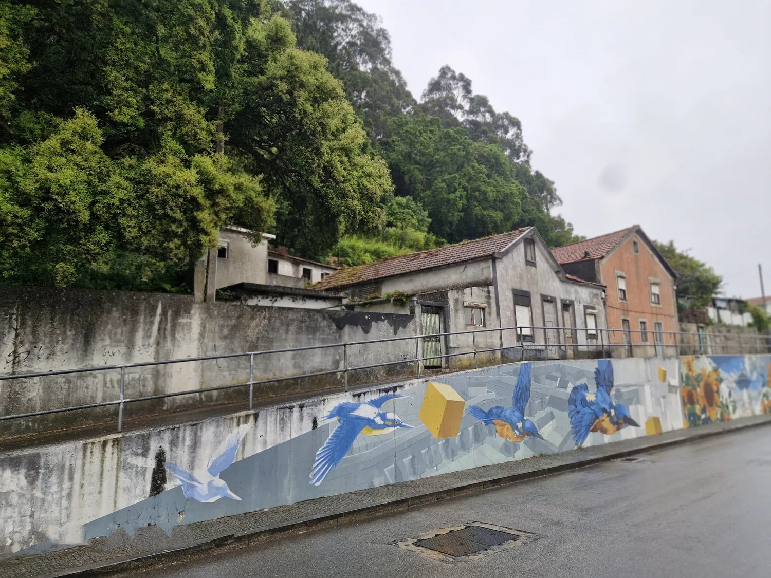 Oportunidade Única de Investimento em Canelas: Propriedade com 1.583,512 m² e Enorme Potencial de Construção / Reabilitação! - 2