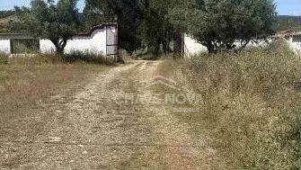 Herdade em Odemira - 3