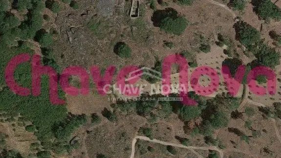 Terreno agrícola em Vinhó Gouveia - 3