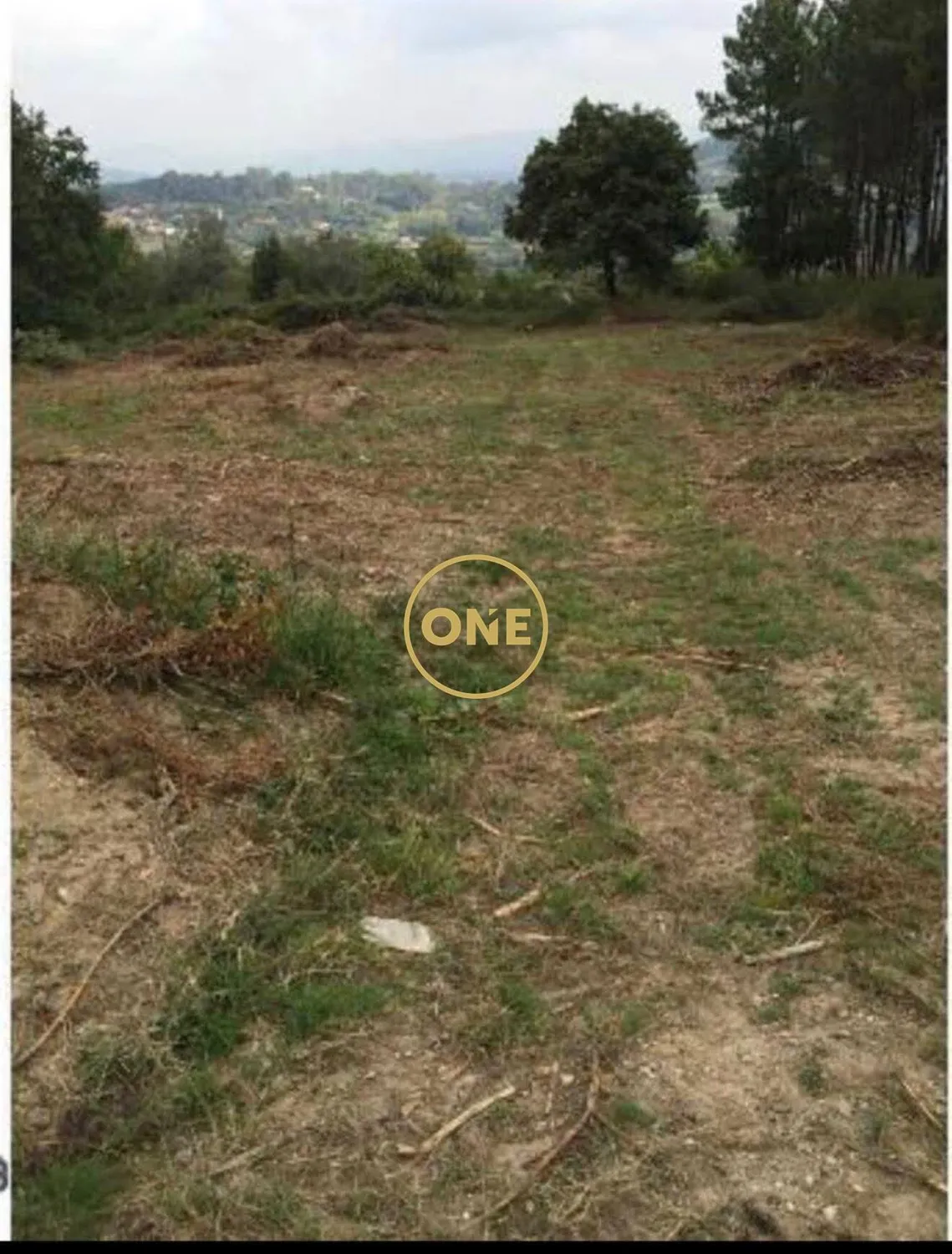 Terreno com 41305m